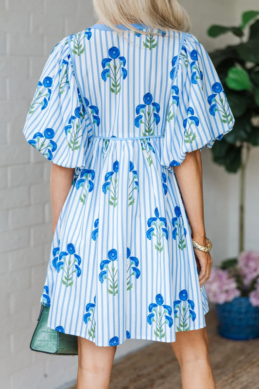 Sky Blue Floral Striped Print Tie Notched Neck Puff Sleeve Flared Mini Dress