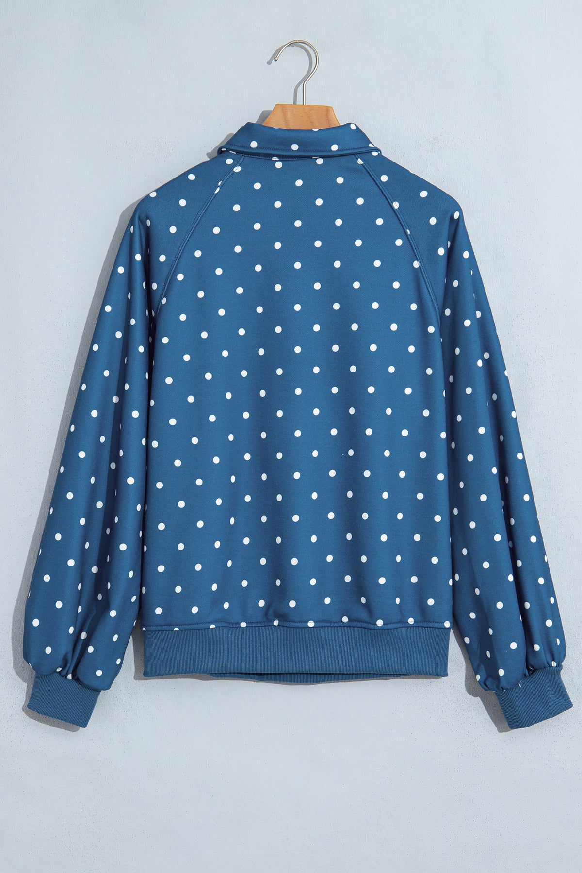 Red Polka Dot Print Metal Button Collar Casual Pullover Sweatshirt